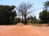 Pictures from Gambia