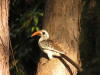 Pictures from Gambia