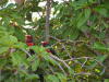 Pictures from Gambia