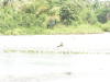 Pictures from Gambia