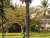 Pictures from Gambia