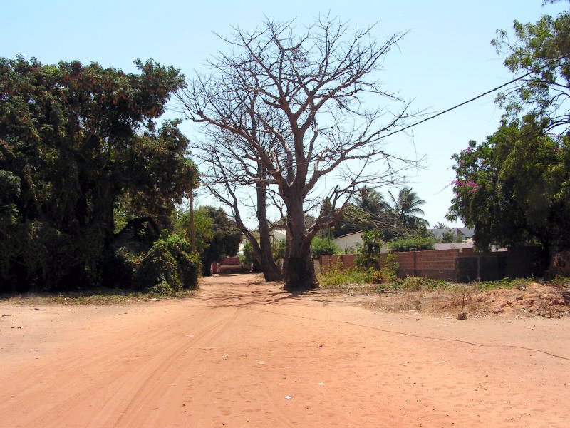 Pictures from Gambia