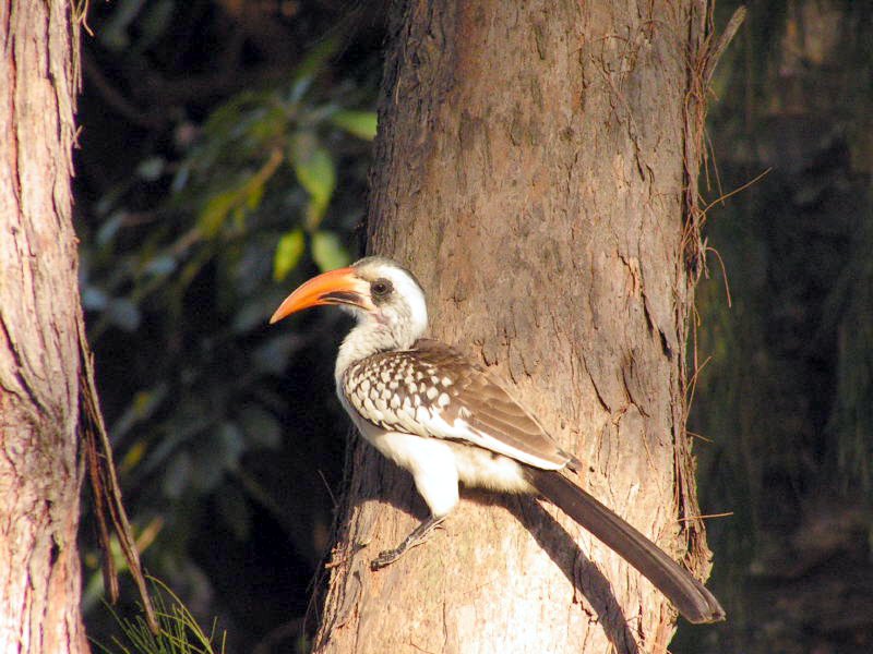 Pictures from Gambia
