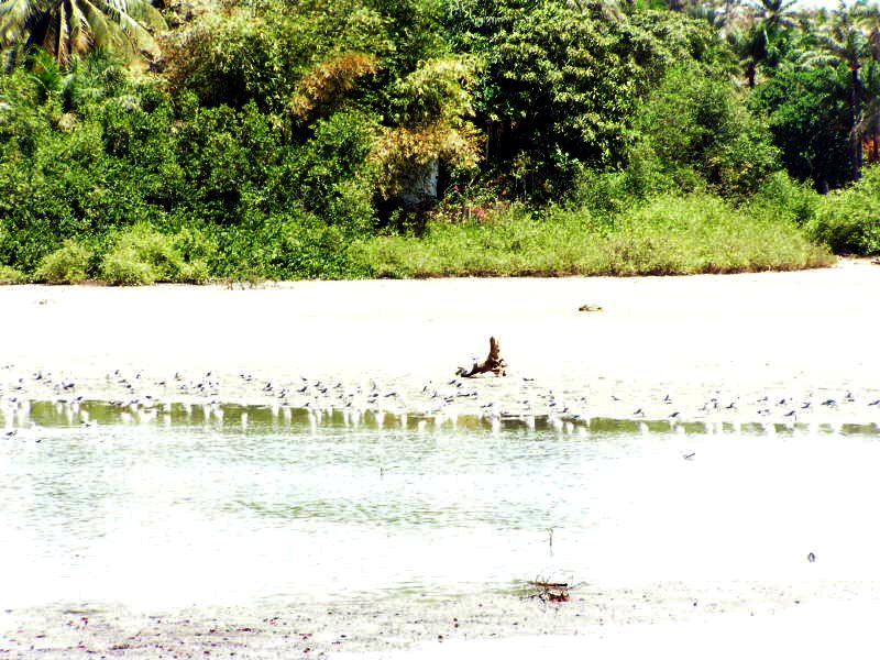 Pictures from Gambia