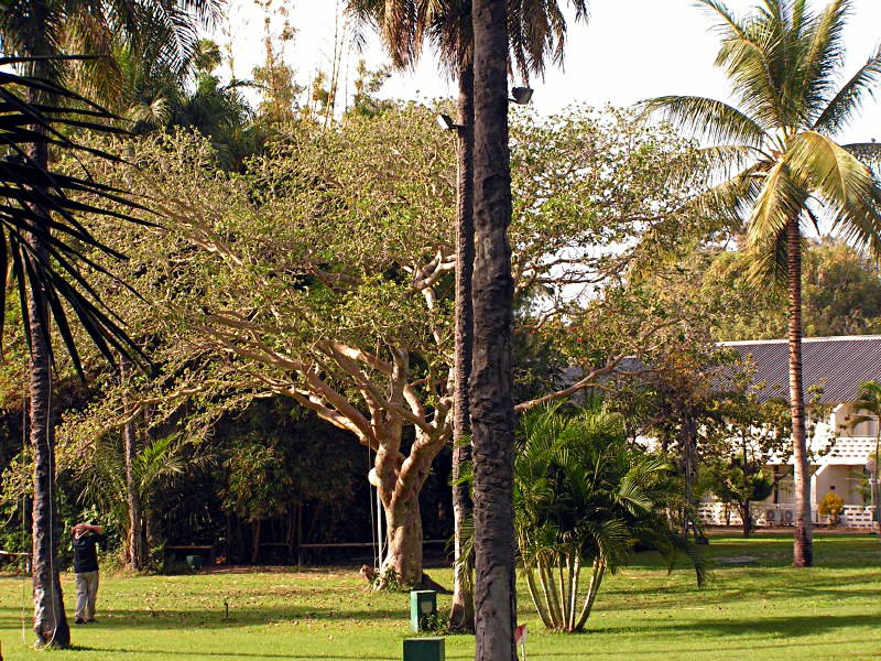 Pictures from Gambia