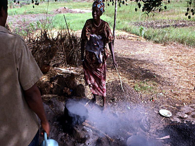 Pictures from Guinea