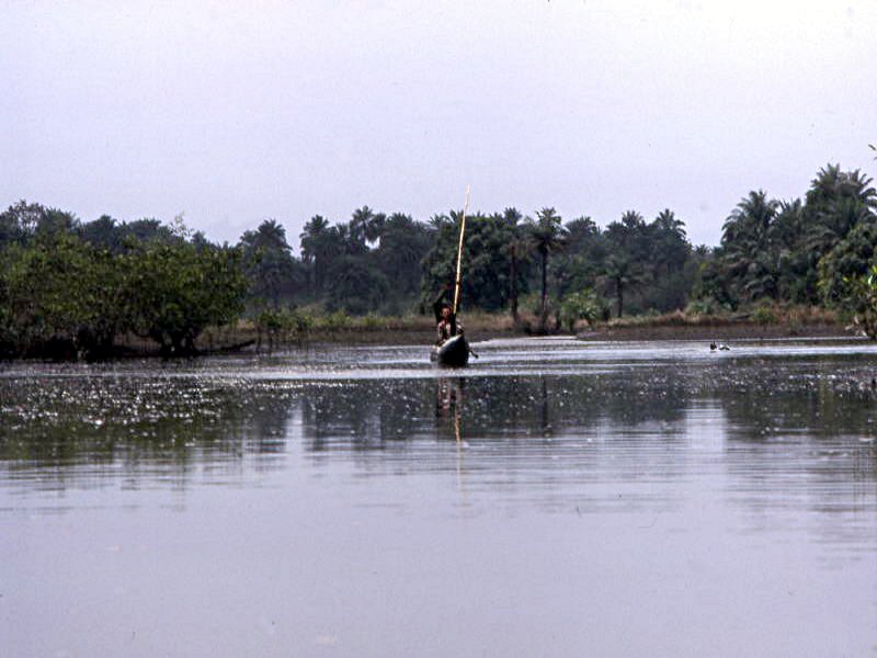 Pictures from Guinea