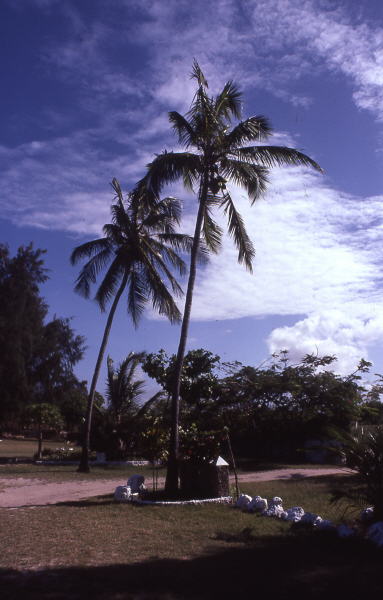 Pictures from Kenia