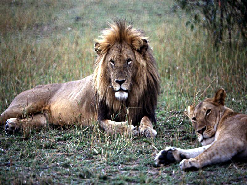 Pictures from Kenia