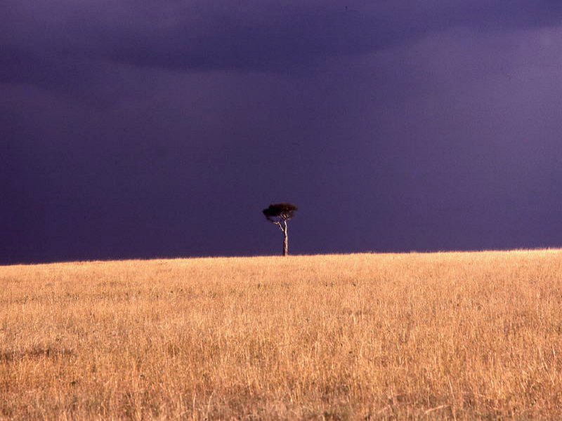 Pictures from Kenia