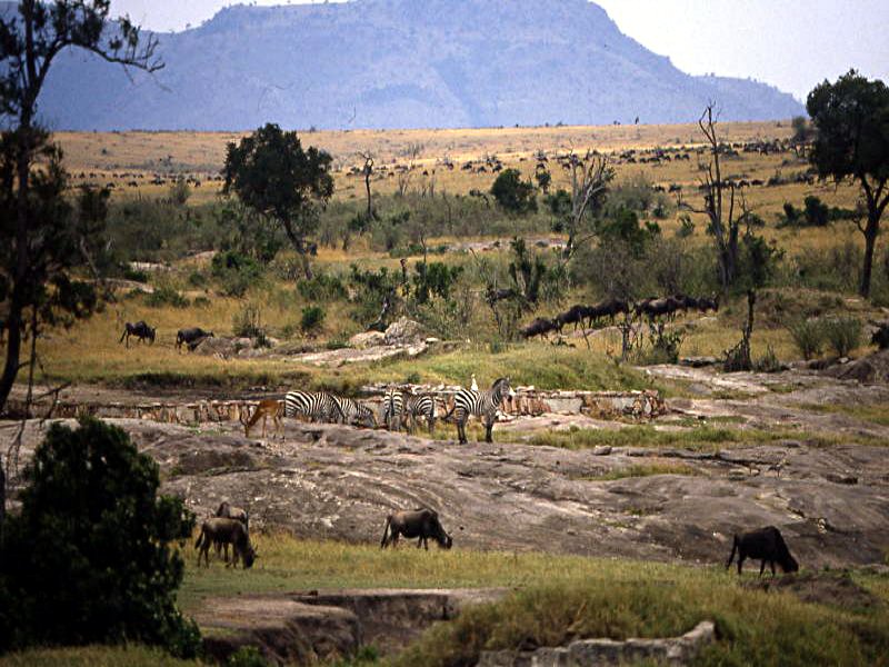 Pictures from Kenia