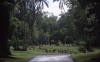 Pictures from Mauritius
