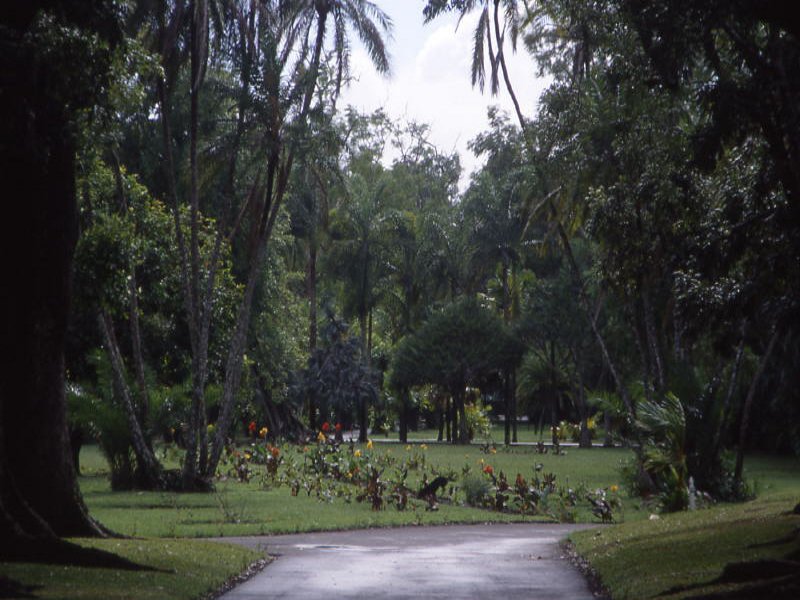 Pictures from Mauritius