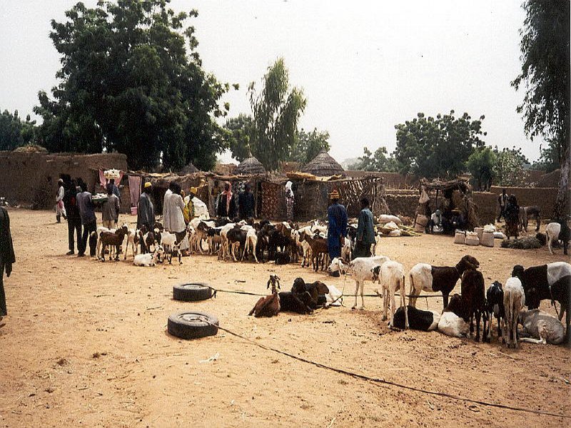 Pictures from Niger