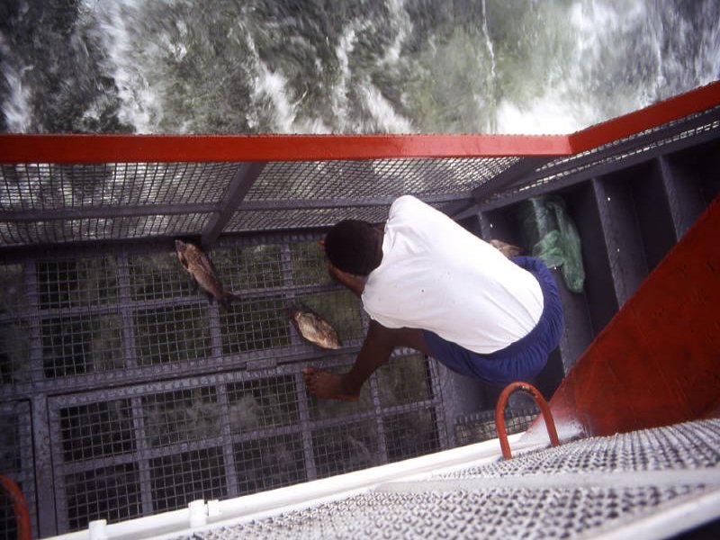 Pictures from Zimbabwe