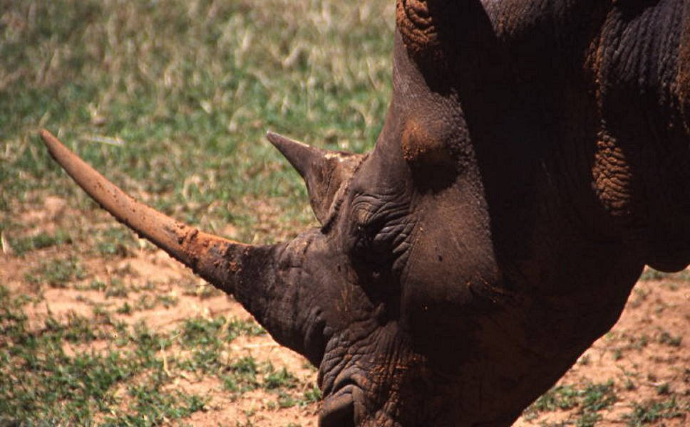 Pictures from Zimbabwe