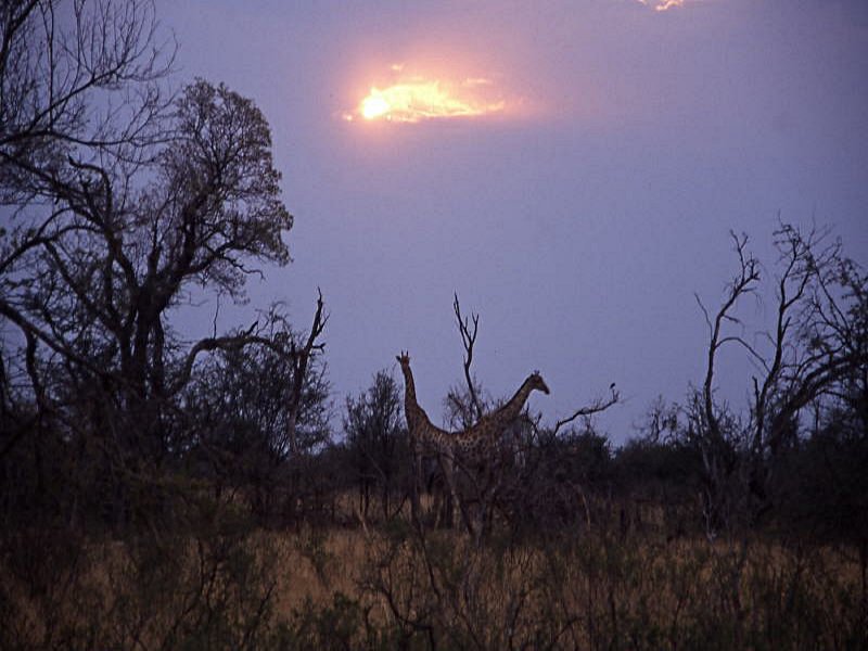 Pictures from Zimbabwe