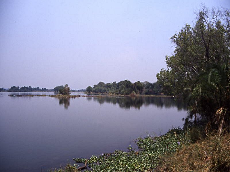 Pictures from Zimbabwe