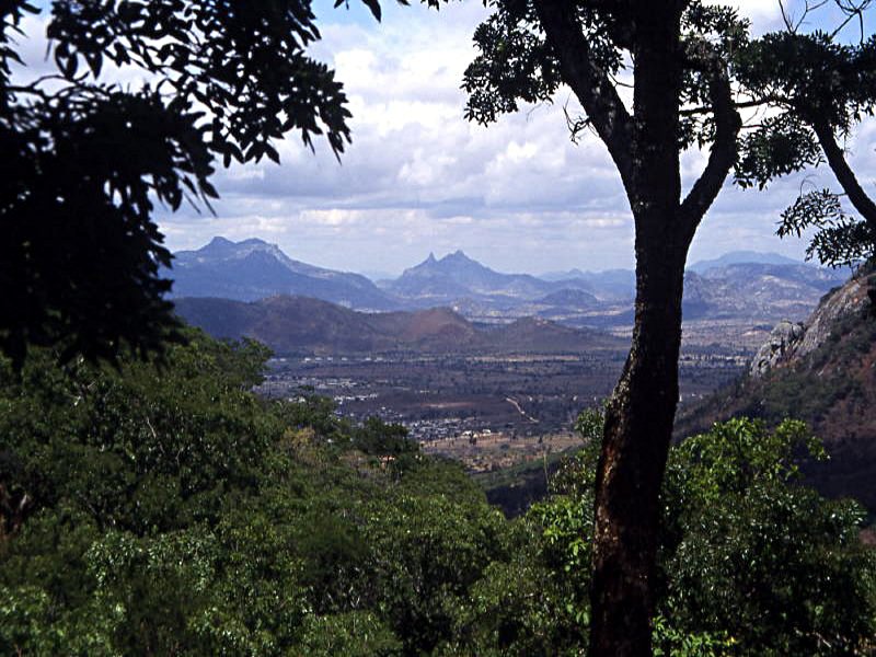 Pictures from Zimbabwe