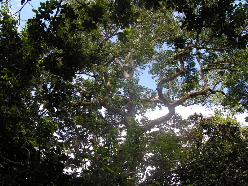 pictures from Uganda