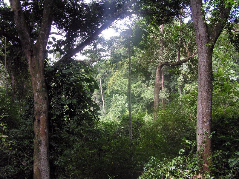 pictures from Uganda