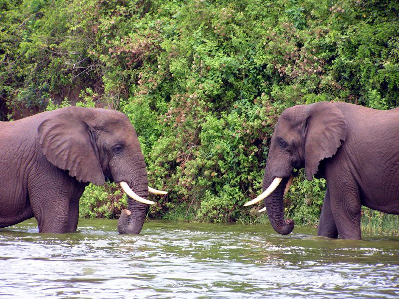 pictures from Uganda