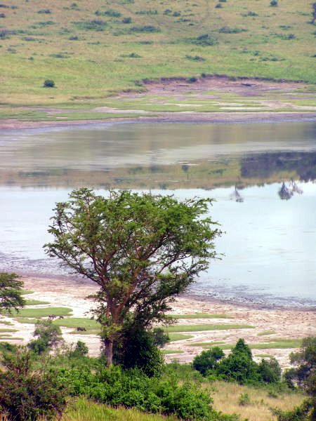 pictures from Uganda