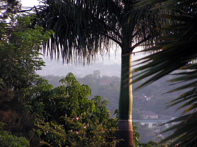 pictures from Uganda