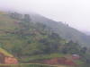 pictures from Uganda