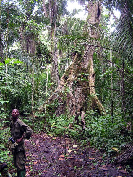 pictures from Uganda