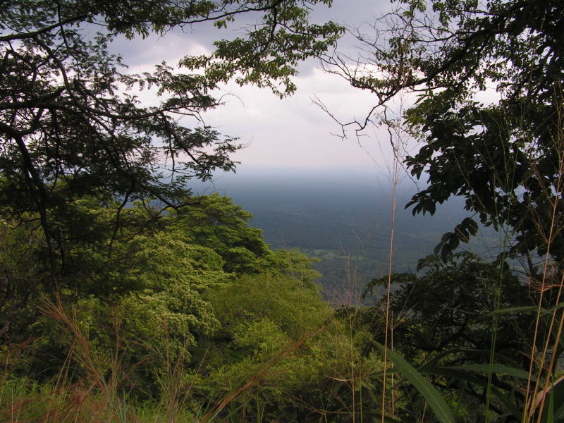 pictures from Uganda