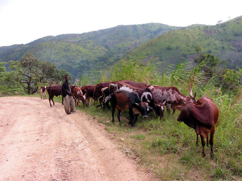 pictures from Uganda