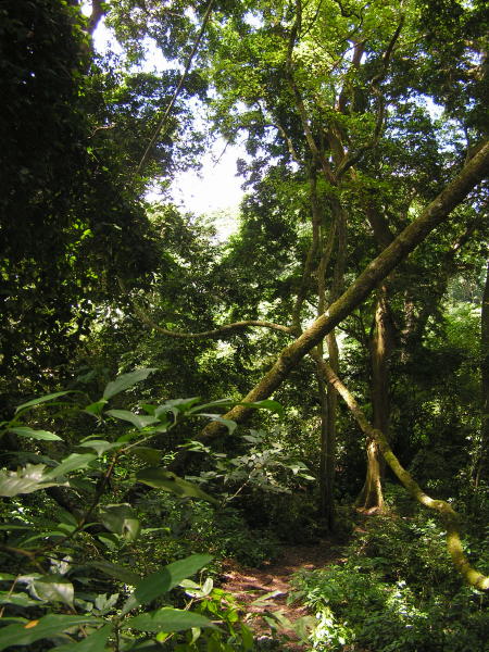 pictures from Uganda