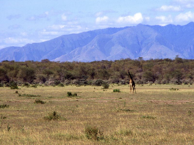 Tanzania