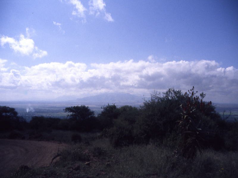 Tanzania