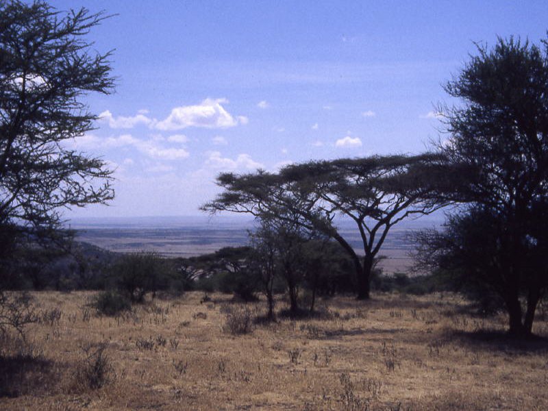 Tanzania