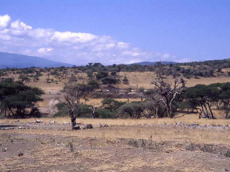 Tanzania