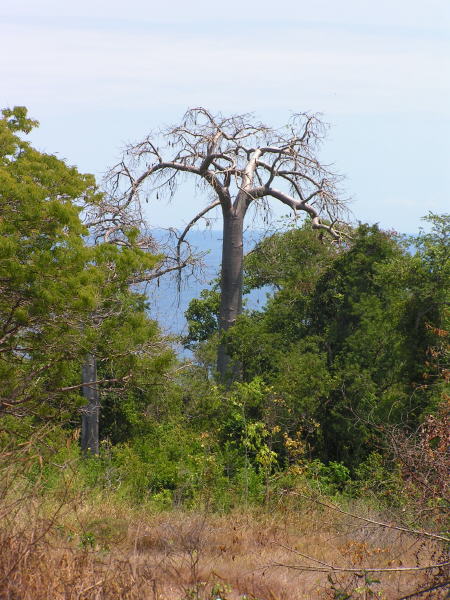 Pictures from Sao Tome