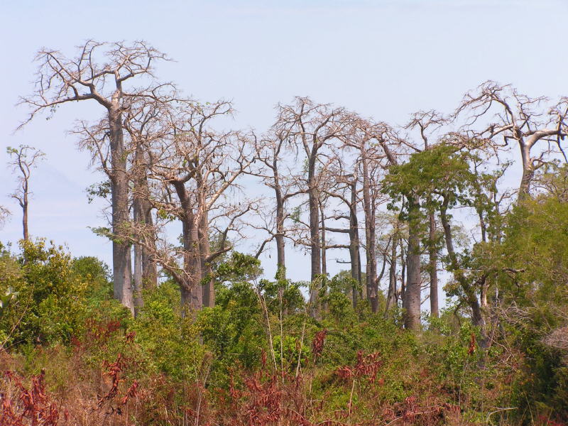 Pictures from Sao Tome