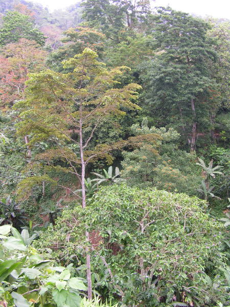 Pictures from Sao Tome