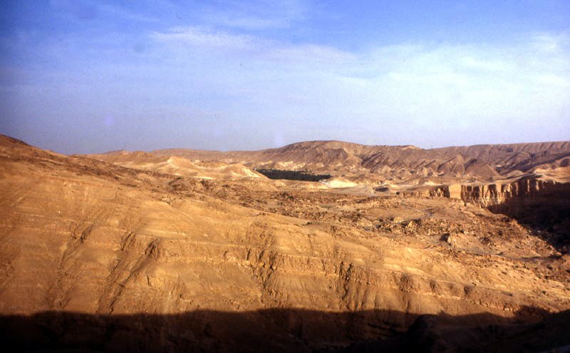 pictures from Tunesia