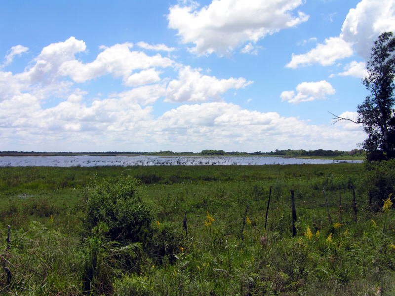 Pictures from Argentina