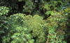 Pictures from Costa Rica
