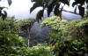 Pictures from Costa Rica
