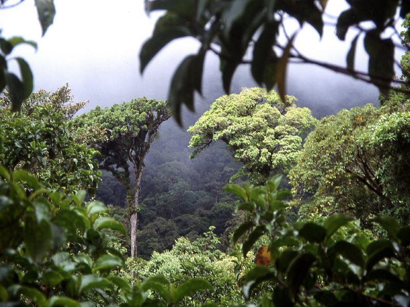 Pictures from Costa Rica