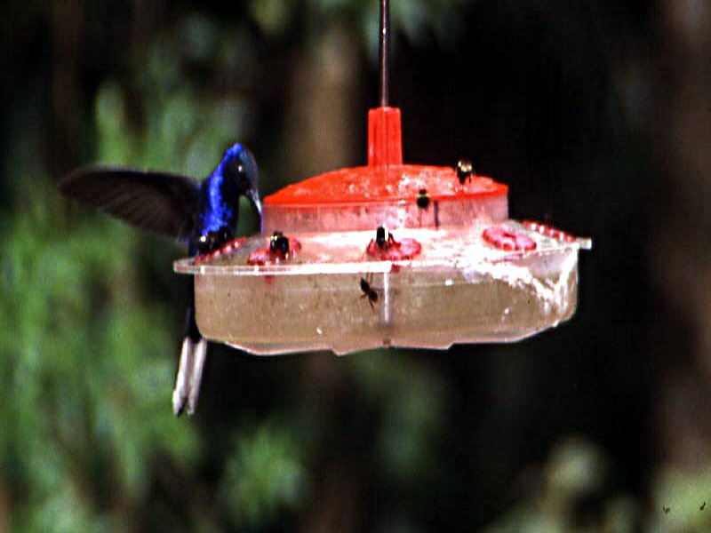 Pictures from Costa Rica