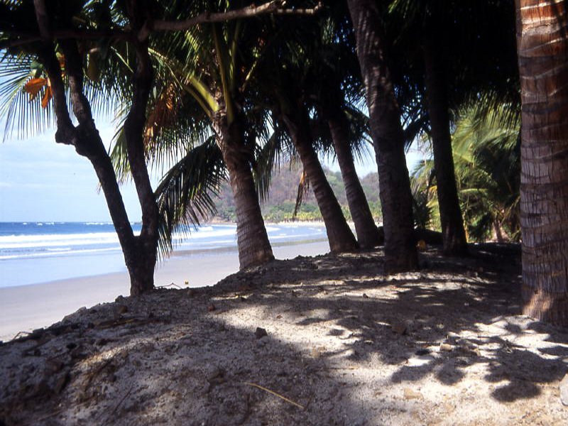 Pictures from Costa Rica