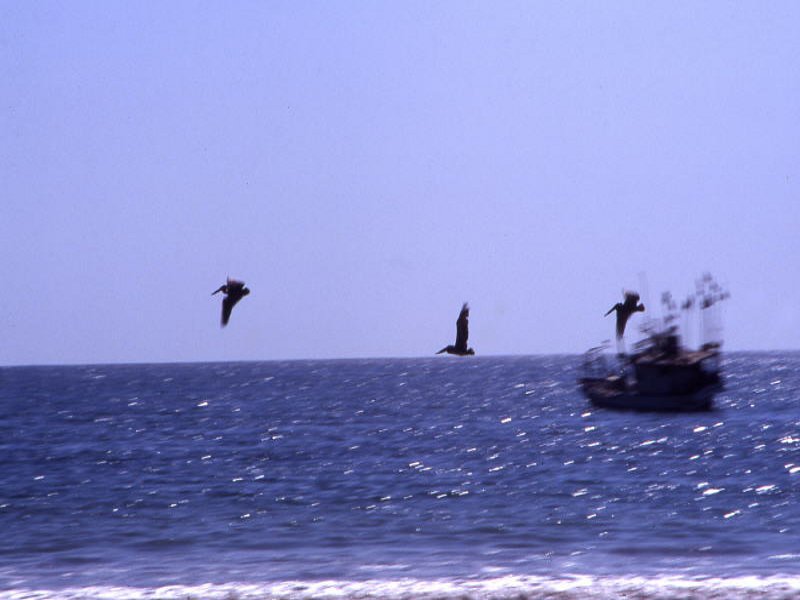 Pictures from Costa Rica