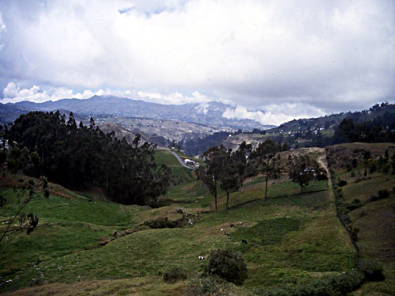 Pictures from Ecuador