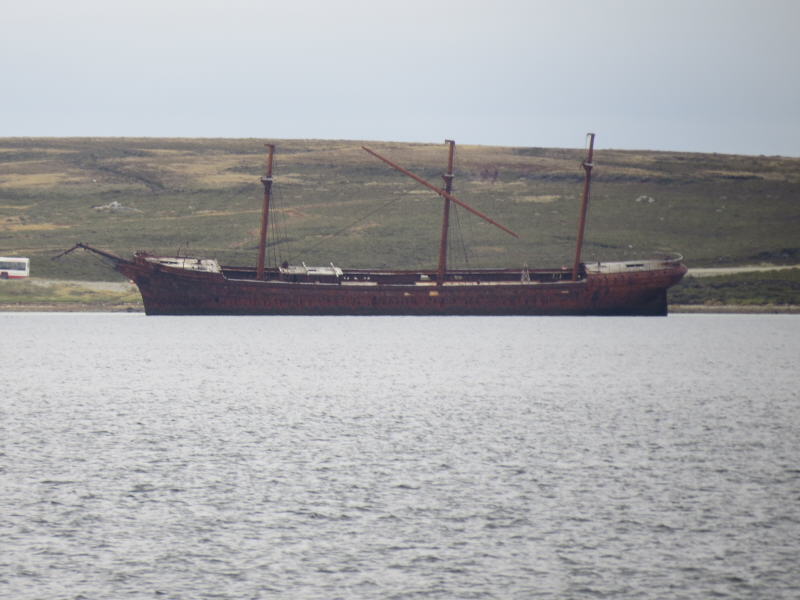 Pictures from the Falkland Islands